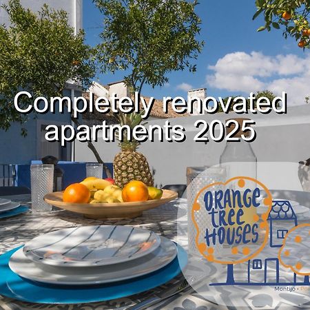 Orangetreehouses مونتيجو المظهر الخارجي الصورة